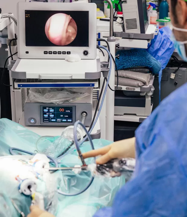 Veterinary Bronchoscopy Clinical Procedure Steps