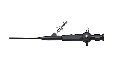 Veterinary Cystoscopy