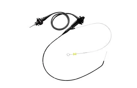 Veterinary Gastroscope
