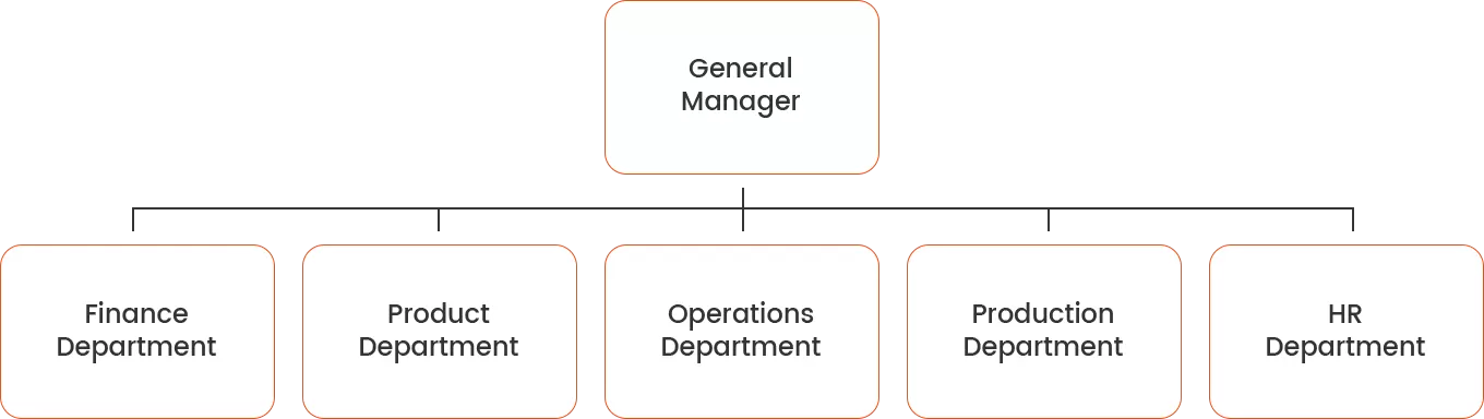 MAIYIS Company Structure