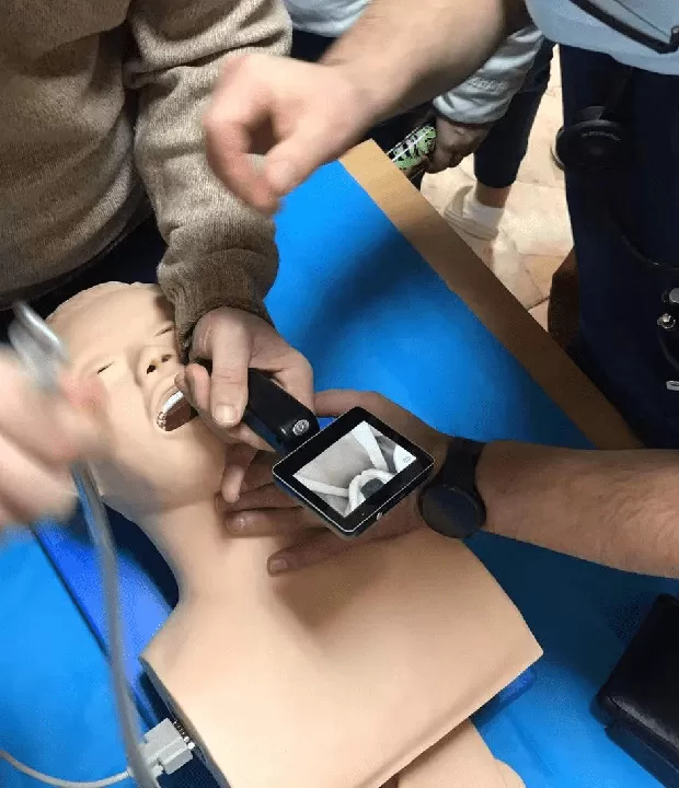 Veterinary Screen Laryngoscope Clinical Procedure Steps
