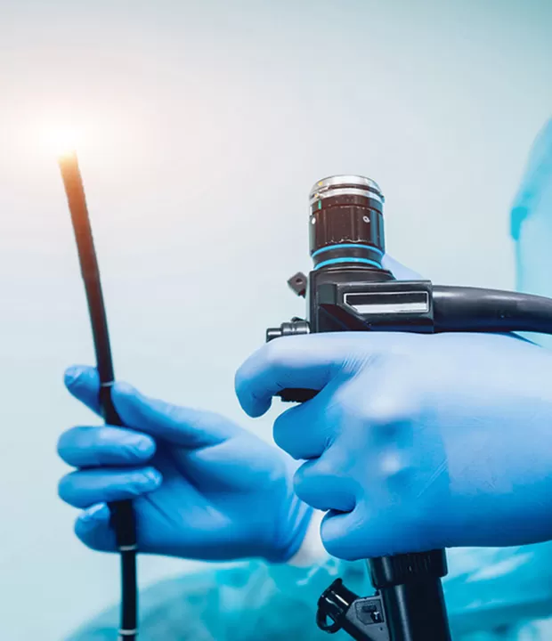 Veterinary Flexible Laryngoscope Clinical Procedure Steps