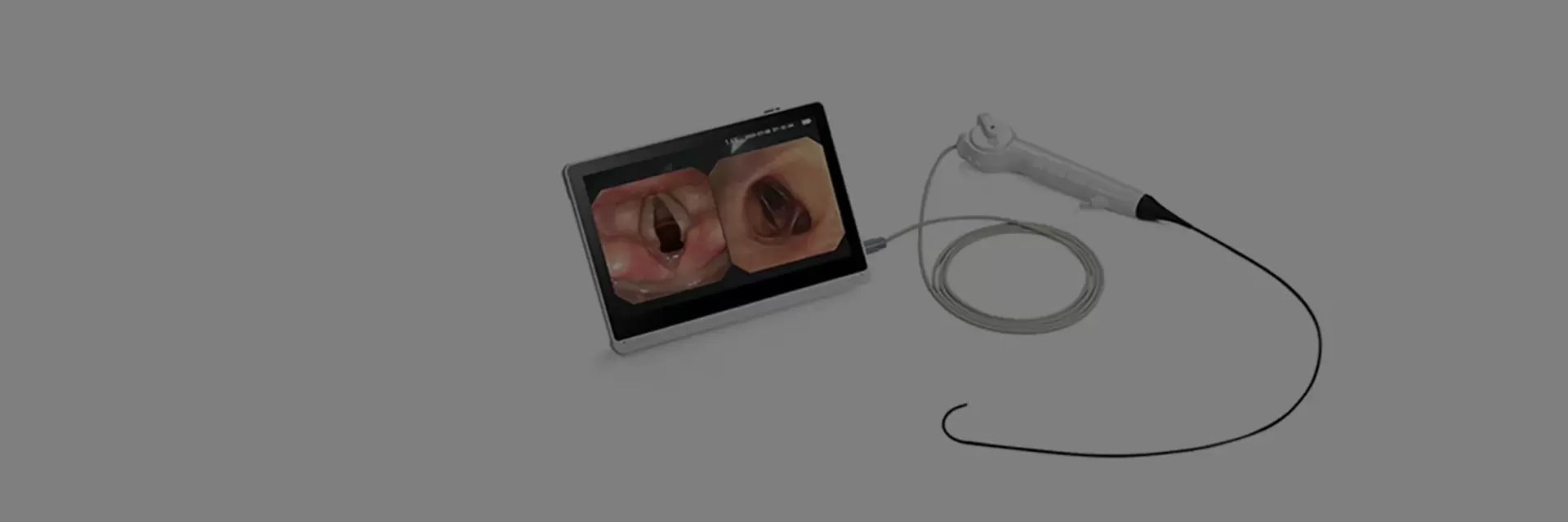Two Way Endoscope Inspection Device