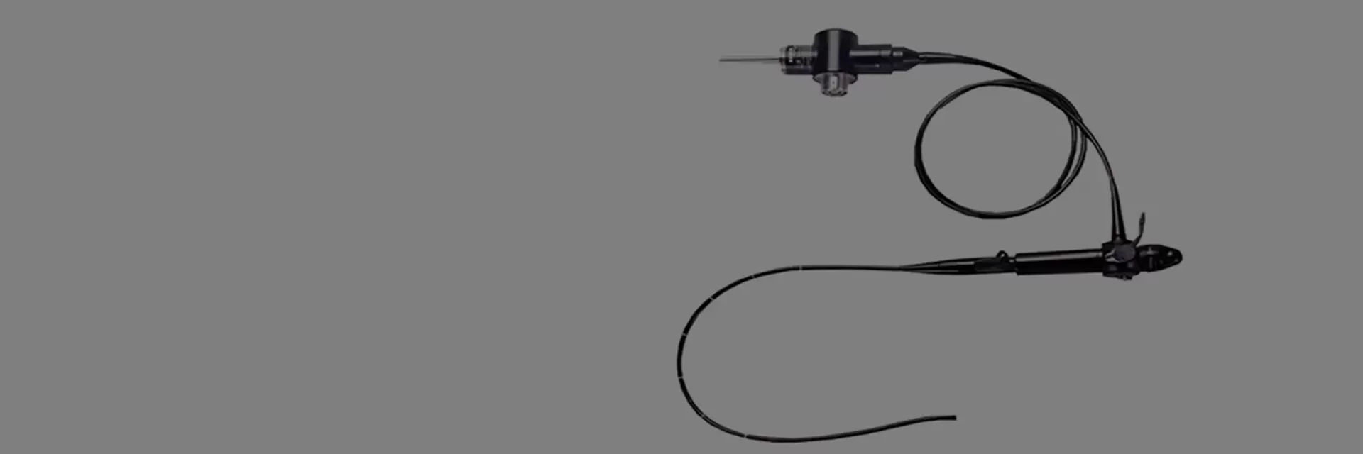 Veterinary Bronchoscopy
