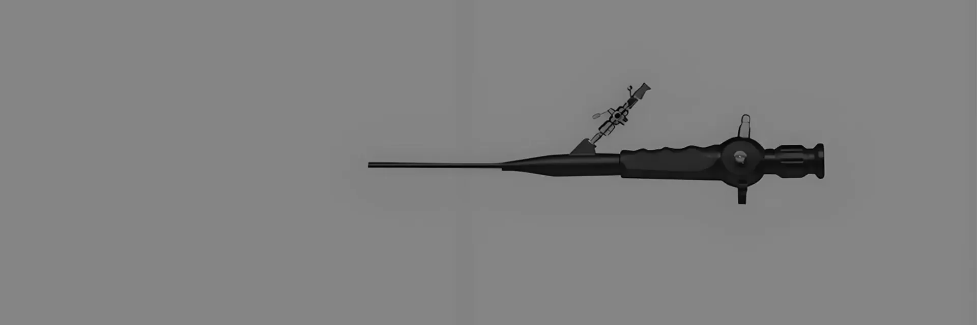Veterinary Cystoscopy