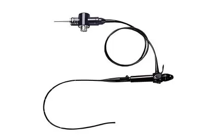Veterinary Bronchoscopy