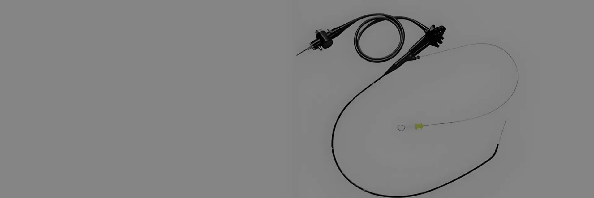 Veterinary Gastroscope