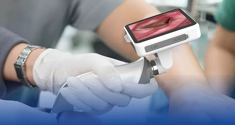 Veterinary Laryngoscope Applications in Airway Examination and Respiratory Diagnosis